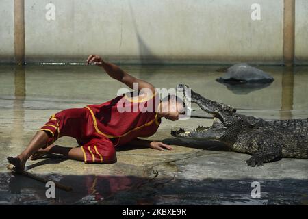 Un interprète qui met la tête entre les fangs béants d'un crocodile lors d'un spectacle à la ferme aux crocodiles et au zoo de Samutprakarn, province de Samut Prakan, Thaïlande, le 22 août 2020. La ferme et le zoo prétendent être la plus grande ferme de crocodiles au monde avec plus de 40 000 crocodiles d'eau douce et marins, et offre des spectacles tels que la lutte de crocodiles pour attirer les touristes, de retour ouvert au milieu de l'épidémie du coronavirus. (Photo par Anusak Laowilas/NurPhoto) Banque D'Images