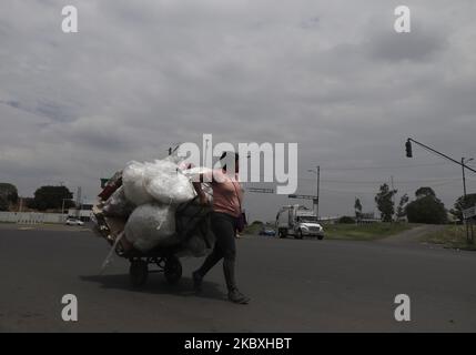 Au cours de la nouvelle normalité due à la COVID-19 à Mexico, Mexique, sur 24 août 2020 des dizaines de travailleurs au Centre d'Abastos dans le domaine des conteneurs vides, du carton et des déchets, continuent de travailler tout au long de la journée face à l'urgence sanitaire due au coronavirus, l'hébergement et le déplacement de boîtes de bois et de carton dans d'autres bâtiments industriels, séparant la matière organique des conteneurs à ordures, entre autres activités. (Photo de Gerardo Vieyra/NurPhoto) Banque D'Images