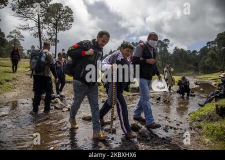 Des parents de personnes disparues ont effectué la première équipe de recherche à Mexico, sur 18 août 2020. Le groupe a traversé la vallée de Tezontle à Ajusco où il a trouvé le crâne et la mâchoire d'une personne encore non identifiée, de sorte qu'ils ont protégé la zone. Au Mexique, il y a 73 218 personnes qui ne sont pas situées. (Photo de Jair Cabrera/NurPhoto) Banque D'Images