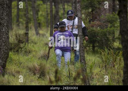 Des parents de personnes disparues ont effectué la première équipe de recherche à Mexico, sur 18 août 2020. Le groupe a traversé la vallée de Tezontle à Ajusco où il a trouvé le crâne et la mâchoire d'une personne encore non identifiée, de sorte qu'ils ont protégé la zone. Au Mexique, il y a 73 218 personnes qui ne sont pas situées. (Photo de Jair Cabrera/NurPhoto) Banque D'Images