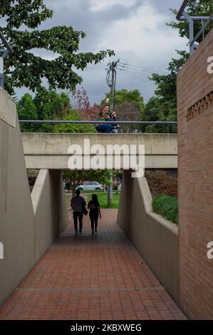 Les gens se rassemblent pour voler des cerfs-volants et profiter du premier dimanche sans restrictions de coronavirus dans la bibliothèque publique Virgilio Barco sur 30 août 2020 à Bogota, Colombie, après sectorisé des lockns causés par le nouveau coronavirus à Bogota et des restrictions là où il a été assoupli. (Photo par Sebastian Barros/NurPhoto) Banque D'Images