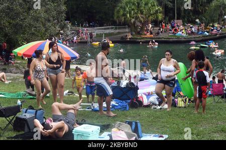 Les gens célèbrent la fête du travail dans le parc national de Wekiwa Springs, sur 7 septembre 2020, à Apopka, en Floride. Les autorités de l'État espèrent que les foules de capacité telles que celles-ci n'entraînent pas une augmentation des cas de coronavirus. (Photo de Paul Hennessy/NurPhoto) Banque D'Images