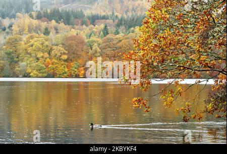 Pitlochry Perthshire Ecosse, vue sur le Loch Faskally avec les arbres dans de superbes couleurs d'automne Banque D'Images