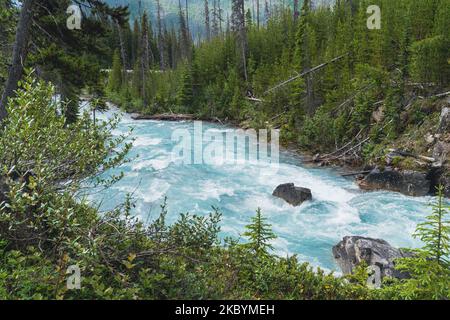 De magnifiques rapides qui traversent la rivière Kootenay à Marble Canyon, en Colombie-Britannique, au Canada Banque D'Images