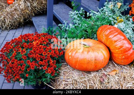 Vacances d'Halloween, le porche de la maison est décoré d'un bouquet de torchons orange et de deux grandes citrouilles couchés sur des balles de paille. Banque D'Images