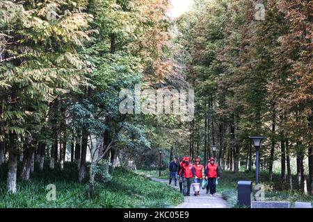 Guiyang. 4th novembre 2022. Cette photo aérienne montre Zhou Yuqing (1st R) et d'autres bénévoles de la protection de l'environnement qui patrouillent dans le parc national des zones humides de la ville de Huaxi à Guiyang, capitale de la province de Guizhou, dans le sud-ouest de la Chine, le 4 novembre 2022. Zhou Yuqing, 70 ans, est bénévole dans le domaine de la protection de l'environnement depuis 2008. En 2014, elle a créé un club de bénévoles composé de retraités et d'écologistes âgés pour promouvoir la conservation des zones humides. Au cours des 14 dernières années, Zhou et 167 autres membres de son équipe ont enregistré plus de 13 000 heures de bénévolat. Credit: Ou Dongqu/Xinhua/Alamy Live News Banque D'Images