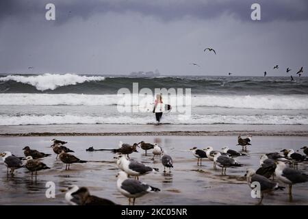 Dernier jour du championnat de surf de la Liga Meo, sur la plage de Matosinhos, sur 19 septembre 2020, Matosinhos, Portugal (photo de Rita Franca/NurPhoto) Banque D'Images