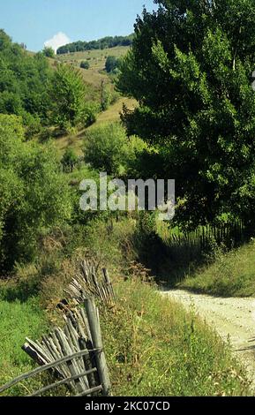 Alun, comté de Hunedoara, Roumanie, env. 2001. Chemin à travers le village, pavé de marbre local concassé. Banque D'Images