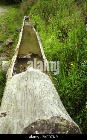 Comté de Hunedoara, Roumanie, environ 2001. Un bac à eau dans la campagne. Banque D'Images