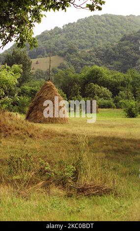 Comté de Hunedoara, Roumanie, environ 2001. Botte de foin dans un pâturage. Banque D'Images