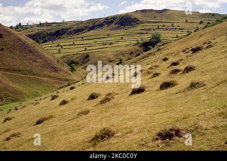 Haystacks dans les pâturages du comté de Hunedoara, Roumanie, environ 2001. Banque D'Images