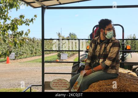 Les gens portent un masque facial lors d'une balade de foin dans une ferme de pommes pendant la pandémie du nouveau coronavirus (COVID-19) à Milton, en Ontario, au Canada, en Ontario, au 20 septembre 2020. (Photo de Creative Touch Imaging Ltd./NurPhoto) Banque D'Images