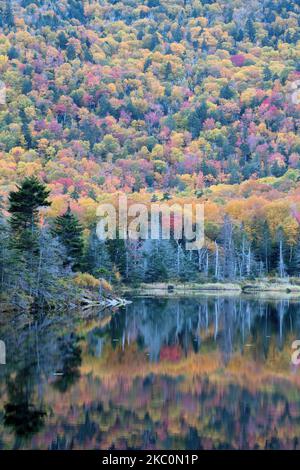 Couleurs d'automne dans la forêt nationale de White Mountain. Reflet d'un feuillage d'automne coloré sur une surface calme de Beaver Pond à Kinsman Notch, New Hampshire. Banque D'Images