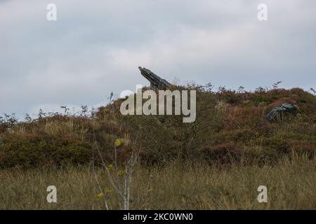 Paysage rocailleux au sommet du Roc'h Trevezel dans une soirée d'automne nuageux, Parc naturel régional d'Armorique, Bretagne, France Banque D'Images