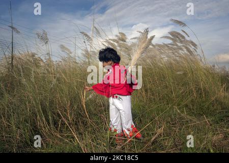 Des gens visitent le champ de l'herbe de chat dans le cadre de la pandémie COVID-19 à Aftab Nagar, dans la banlieue de Dhaka, au Bangladesh, sur 05 octobre 2020. Après une pandémie, les gens de Dhaka reviennent à la vie normale et Aftab Nagar est l'une des destinations populaires où beaucoup de gens vont avec leurs familles et amis pour se rafraîchir. (Photo de Kazi Salahuddin Razu/NurPhoto) Banque D'Images