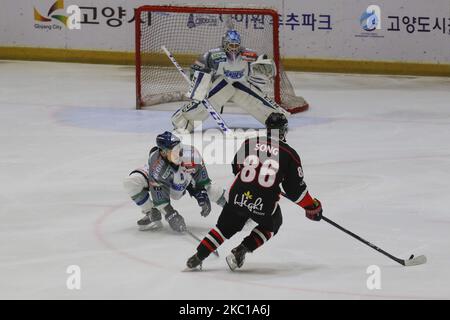 Les lames de glace de Tohoku du Japon et le Haut 1 de la Corée du Sud jouent pendant la Ligue asiatique de hockey sur glace 2015 à Goyang Ice Link à Gyeong Gi, Corée du Sud sur 29 septembre 2015. Match remporté lames de glace Tohoku, score 2-0. (Photo de Seung-il Ryu/NurPhoto) Banque D'Images
