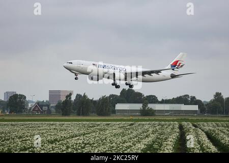 Une compagnie Malaysia Airlines avec inscription du logo maskargo Airbus A330 Cargo Freight Aircraft tel qu'il a été vu atterrissant sur la piste Polderbaan à l'aéroport international d'Amsterdam Schiphol AMS EHAM aux pays-Bas. L'avion est un Airbus A330-200F avec l'enregistrement 9M-MUB. Malaysia Airlines MAS MH est le transporteur aérien de la Malaisie et membre de l'alliance oneworld. Durant l'ère pandémique du coronavirus Covid-19, les vols de fret ont augmenté dans le monde entier. Amsterdam, pays-Bas sur 30 août 2020. (Photo de Nicolas Economou/NurPhoto) Banque D'Images