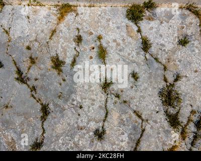 Détail des empreintes de dinosaures dans les formations de calcaire dans une période entre le Jurassique et le Crétacé découvert en 2005 à San Leonardo un kilomètre du célèbre site de Pulo di Molfetta le 20 octobre 2020 à Molfetta. Après des années, le gouffre karstique de Molfetta est rendu à l'usage des citoyens et des touristes grâce à l'accord signé en septembre 2018 entre la municipalité de Molfetta et la ville métropolitaine de Bari sur la base duquel l'Autorité métropolitaine, propriétaire du site, A vendu le Pulo à la Municipalité depuis 20 ans. En vertu de l'accord, la ville métropolitaine Banque D'Images