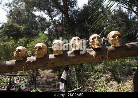 L'organisation de la Tradition Chinampa (Chinampa est une technique utilisée dans l'agriculture méso-américaine principalement dans les lacs), a fait une présentation du jour des offrandes morts afin de maintenir vivante cette pratique ancestrale. Sur 21 octobre 2020 à Mexico, Mexique. (Photo par Cristian Leyva/NurPhoto) Banque D'Images