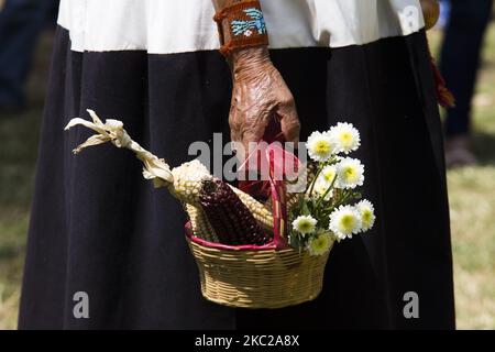 L'organisation de la Tradition Chinampa (Chinampa est une technique utilisée dans l'agriculture méso-américaine principalement dans les lacs), a fait une présentation du jour des offrandes morts afin de maintenir vivante cette pratique ancestrale. Sur 21 octobre 2020 à Mexico, Mexique. (Photo par Cristian Leyva/NurPhoto) Banque D'Images