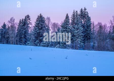 Lever de soleil en hiver dans la campagne lettone. Scène extérieure colorée. Banque D'Images