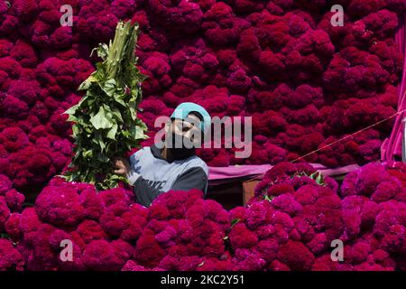 Au marché aux fleurs du Mercado de Jamaica, le jour traditionnel des fleurs mortes est vendu, comme le cempasúchil et le velours. Mexico, 28 octobre 2020. (Photo par Cristian Leyva/NurPhoto) Banque D'Images