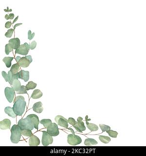 Eucalyptus aquarelle sur fond blanc. Trame réalisée à la main. Peut être utilisé dans la conception de cartes postales, serviettes. Banque D'Images