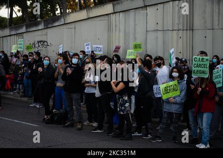 Manifestation en dehors de la CIE à Aluche, Madrid, Espagne, 1 novembre 2020, en faveur des immigrants en grève de la faim. (Photo de Jon Imanol Reino/NurPhoto) Banque D'Images