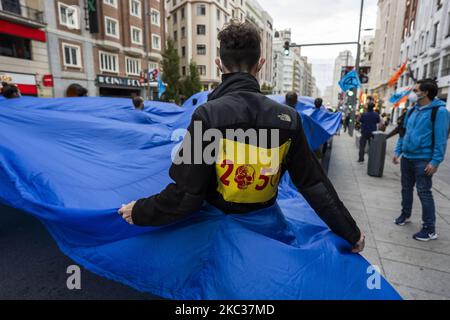 Action de la rébellion d'extinction (XR) pour avertir de l'augmentation du niveau des mers à Madrid le 2nd novembre 2020. (Photo par Oscar Gonzalez/NurPhoto) Banque D'Images