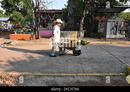 Morelia, Apitzangan, Mexique. 02nd novembre 2022. Du 30 octobre au 2 novembre 2022, Mexico, Mexique - Dia de Muertos est le jour traditionnel des morts où les morts sont rappelés comme des parents nettoient leurs tombes, les adorent avec des fleurs et passent une journée au cimetière, à boire et à manger. Une autre tradition sont les autels, consacrés à des parents ou des amis, avec les fleurs typiques des Marigolds orange (cempasuchil). (Photo de Teun Voeten/Sipa USA) crédit: SIPA USA/Alay Live News Banque D'Images
