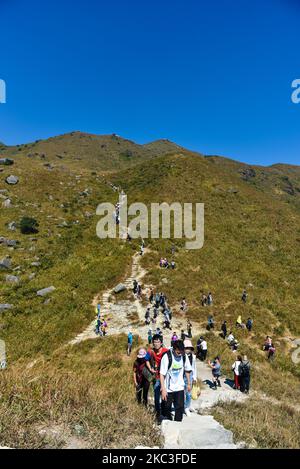 Les randonneurs font la queue pour grimper sur Sunset Peak, sur l'île de Lantau à Hong Kong, en Chine, sur 7 novembre 2020. Comme les températures sont devenues plus fraîches, de nombreux hongkongers se sont dirigés vers l'extérieur, créant parfois de véritables « embouteillages » sur les montagnes. (Photo de Marc Fernandes/NurPhoto) Banque D'Images