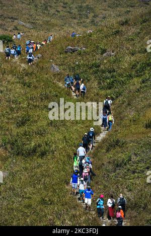 Les randonneurs font la queue pour grimper sur Sunset Peak, sur l'île de Lantau à Hong Kong, en Chine, sur 7 novembre 2020. Comme les températures sont devenues plus fraîches, de nombreux hongkongers se sont dirigés vers l'extérieur, créant parfois de véritables « embouteillages » sur les montagnes. (Photo de Marc Fernandes/NurPhoto) Banque D'Images