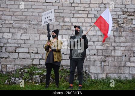 Deux militants vus à côté du château Wawel de Cracovie lors de la manifestation Pro-Choice. Des étudiants universitaires, des activistes des droits des femmes et leurs partisans ont organisé une autre manifestation anti-gouvernementale à Cracovie le 17th jour des manifestations en cours, communément appelées grève des femmes (en polonais : Strajk Kobiet), faisant pression sur les restrictions à la pandémie et exprimant leur colère face à la décision de la Cour suprême qui a resserré les lois déjà strictes sur l'avortement. Samedi, 7 novembre 2020, à Cracovie, en Pologne. (Photo par Artur Widak/NurPhoto) Banque D'Images