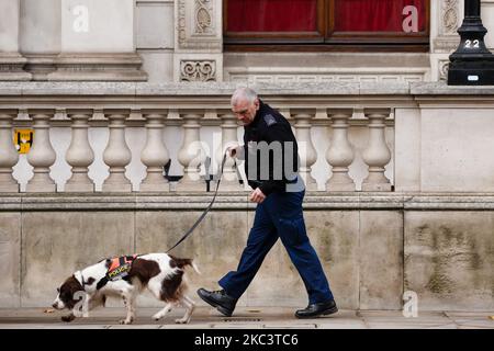 Un policier travaille avec un chien sniffer avant un service de jour d'armistice au mémorial de guerre de Cenotaph à Whitehall, à Londres, en Angleterre, sur 11 novembre 2020. (Photo de David Cliff/NurPhoto) Banque D'Images