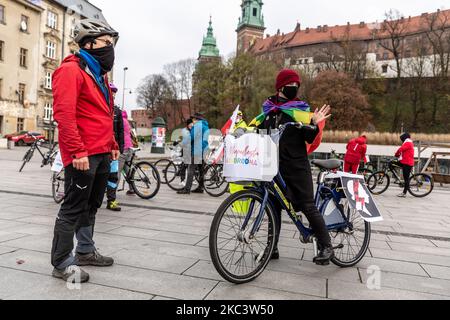 Les membres de la commission d'opposition de la défense de la démocratie (KOD) sont vus dans des masques protecteurs par leurs vélos lors d'une balade à vélo « arc-en-ciel » le jour de l'indépendance à Vistule Boulevards près du château royal de Wawel dans la vieille ville de Cracovie, en Pologne, sur 11 novembre 2020. KOD manifeste son soutien envers les groupes LGBT et minoritaires ainsi que récemment un mouvement d'opposition fort - la grève des femmes. (Photo par Dominika Zarzycka/NurPhoto) Banque D'Images