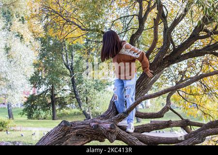 Une fille monte un arbre en automne gros plan Banque D'Images