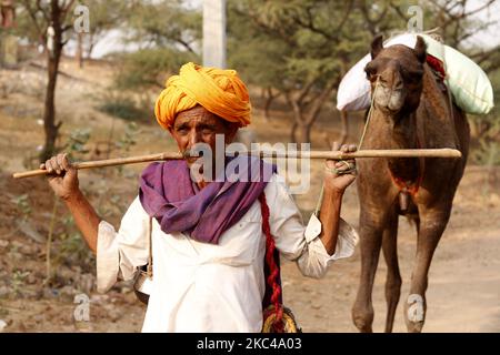 Un commerçant indien de chameaux revenant du désert de Pushkar, sur 19 novembre 2020. En raison de la pandémie du coronavirus, les autorités ont lancé cette année la foire annuelle de Pushkar Camel, mais en raison du manque d'informations, de nombreux commerçants ont rejoint le site plus tôt aujourd'hui. Des milliers de marchands de bétail de la région viennent à la foire traditionnelle de chameaux où le bétail, principalement les chameaux, sont échangés. La foire annuelle des chameaux et du bétail est l'une des plus grandes foires de chameaux au monde. (Photo par Himanshu Sharma/NurPhoto) Banque D'Images