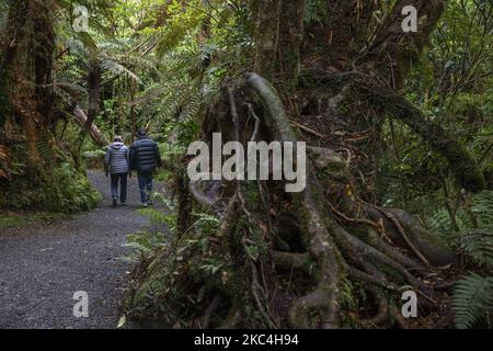 Chemin des cascades de McLean dans le parc forestier de Catlins à Catlin dans la région d'Otago, dans l'île du Sud de la Nouvelle-Zélande, sur 24 novembre 2020. Les chutes McLean sont une chute d'eau de 22m, ce qui en fait l'une des plus hautes du parc forestier de Catlins. (Photo de Sanka Vidanagama/NurPhoto) Banque D'Images