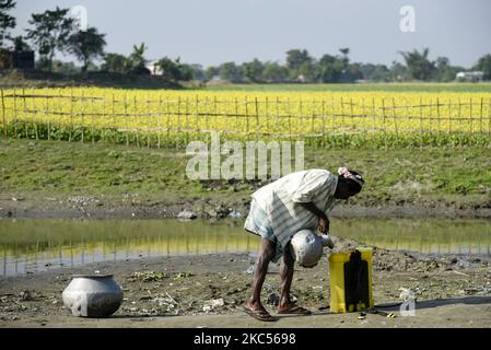 Un fermier mélangeant désinfecte à vaporiser sur un champ de moutarde, dans un village du district de Barpeta d'Assam, en Inde, le 03 décembre 2020. (Photo de David Talukdar/NurPhoto) Banque D'Images