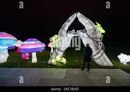 Les gens visitent le festival LuminoCity à l'île de Randal sur 03 décembre 2020 à New York. De nombreux événements de vacances ont été annulés ou ajustés avec des mesures de sécurité supplémentaires en raison de la pandémie du coronavirus (COVID-19) (photo de John Nacion/NurPhoto) Banque D'Images