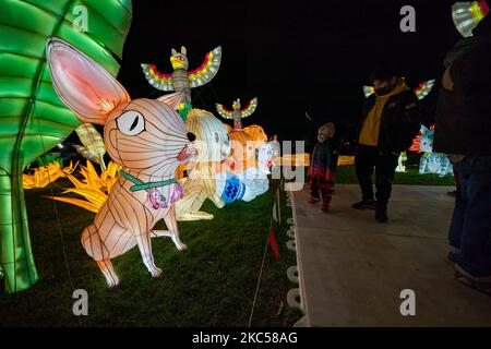 Les gens visitent le festival LuminoCity à l'île de Randal sur 03 décembre 2020 à New York. De nombreux événements de vacances ont été annulés ou ajustés avec des mesures de sécurité supplémentaires en raison de la pandémie du coronavirus (COVID-19) (photo de John Nacion/NurPhoto) Banque D'Images