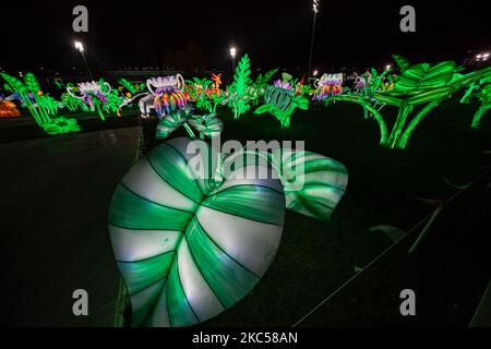 Les gens visitent le festival LuminoCity à l'île de Randal sur 03 décembre 2020 à New York. De nombreux événements de vacances ont été annulés ou ajustés avec des mesures de sécurité supplémentaires en raison de la pandémie du coronavirus (COVID-19) (photo de John Nacion/NurPhoto) Banque D'Images