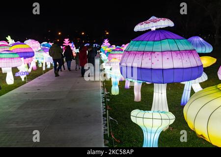 Les gens visitent le festival LuminoCity à l'île de Randal sur 03 décembre 2020 à New York. De nombreux événements de vacances ont été annulés ou ajustés avec des mesures de sécurité supplémentaires en raison de la pandémie du coronavirus (COVID-19) (photo de John Nacion/NurPhoto) Banque D'Images