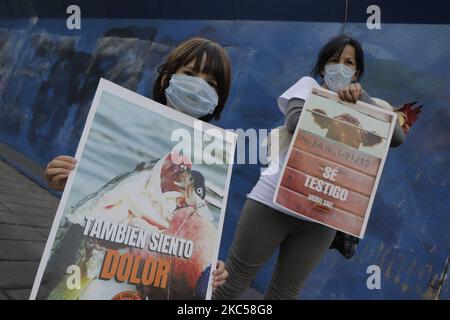 Des activistes de l'organisation Animal Save Mexico ont manifesté à l'Ange de l'indépendance à Mexico, contre les abattoirs d'animaux au Mexique. La manifestation a été appelée Mexique sans abattoirs, afin de sensibiliser le public aux mauvais traitements et à l'exploitation dans l'industrie de l'élevage et de construire un mouvement de masse basé sur la justice et la libération des animaux. (Photo de Gerardo Vieyra/NurPhoto) Banque D'Images