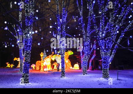 Scènes de l'exposition de lumière en plein air Alice au pays des merveilles - jardin des lumières près du Musée de l'ingénierie municipale et CD d'éclairage au jardin des expériences à Cracovie, Pologne sur 10 décembre 2020. (Photo de Beata Zawrzel/NurPhoto) Banque D'Images