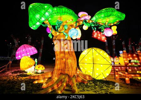 Scènes de l'exposition de lumière en plein air Alice au pays des merveilles - jardin des lumières près du Musée de l'ingénierie municipale et CD d'éclairage au jardin des expériences à Cracovie, Pologne sur 10 décembre 2020. (Photo de Beata Zawrzel/NurPhoto) Banque D'Images