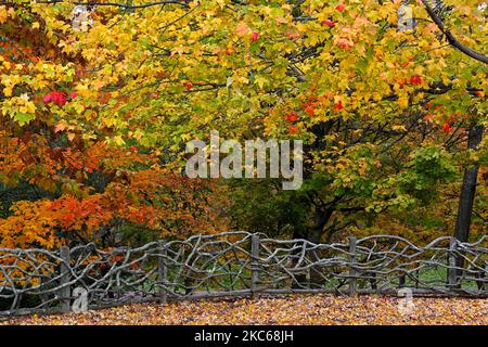 De beaux arbres dans le feuillage d'automne et une clôture rustique faite de branches d'arbres entrelacés. Banque D'Images