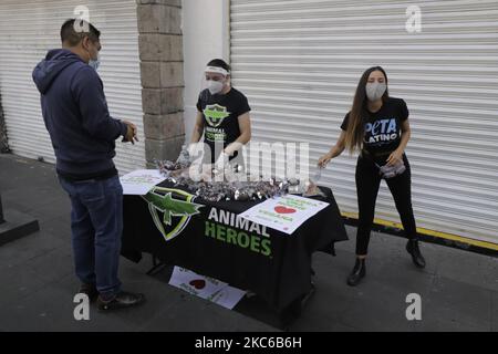 Sofía Sisniega, actrice et activiste, pendant la promotion et la distribution de dîners végétaliens par des membres d'organisations internationales telles que PETA Latino et Animal Heroes, à des passants à Mexico pendant l'urgence sanitaire due à COVID-19 et le retour au feu rouge épidémiologique de circulation, À la veille de Noël faite par la compagnie végétalienne locale Cocoadore. (Photo de Gerardo Vieyra/NurPhoto) Banque D'Images