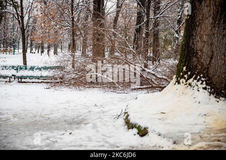 Une vue générale des jardins publics Indro Montanelli couverts de neige lors d'une chute de neige importante sur 28 décembre 2020 à Milan, Italie (photo d'Alessandro Bremec/NurPhoto) Banque D'Images