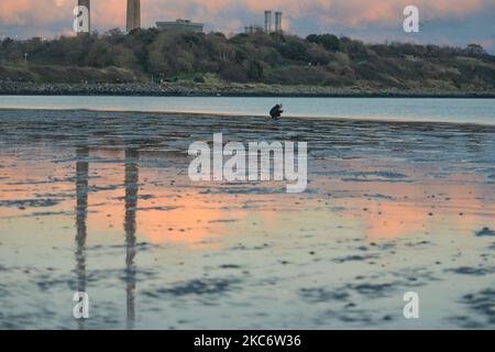 Une femme aime prendre des photos avec son téléphone portable samedi après-midi sur Sandymount Strand à Dublin, pendant le niveau 5 de verrouillage Covid-19. Le ministère de la Santé a rapporté ce soir un nouveau record quotidien de 3 394 nouveaux cas de Covid-19 pour la République d'Irlande (précédent record de 1 753 cas au 1 janvier 2020). Samedi, 2 janvier 2020, à Dublin, Irlande. (Photo par Artur Widak/NurPhoto) Banque D'Images